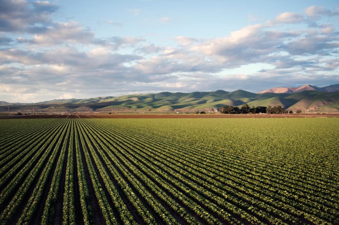 Technologische Innovationen in der deutschen Landwirtschaft: Smart Farming im Fokus